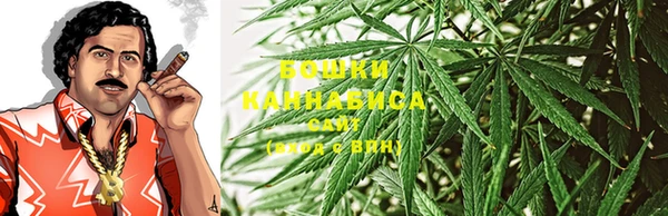 шишки Покров