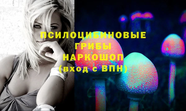 гидропоника Абаза
