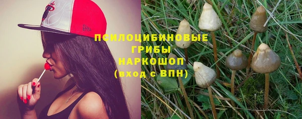 гидра Абинск